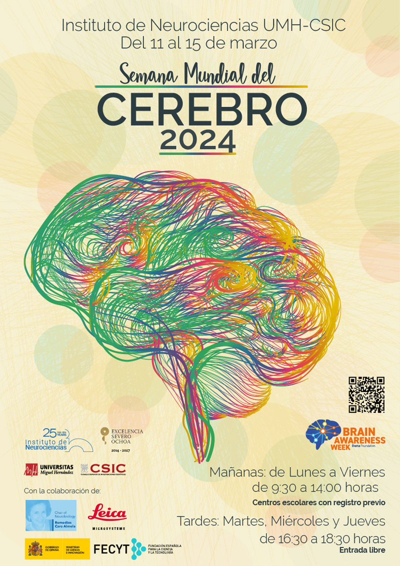Cartel semana del cerebro 2024