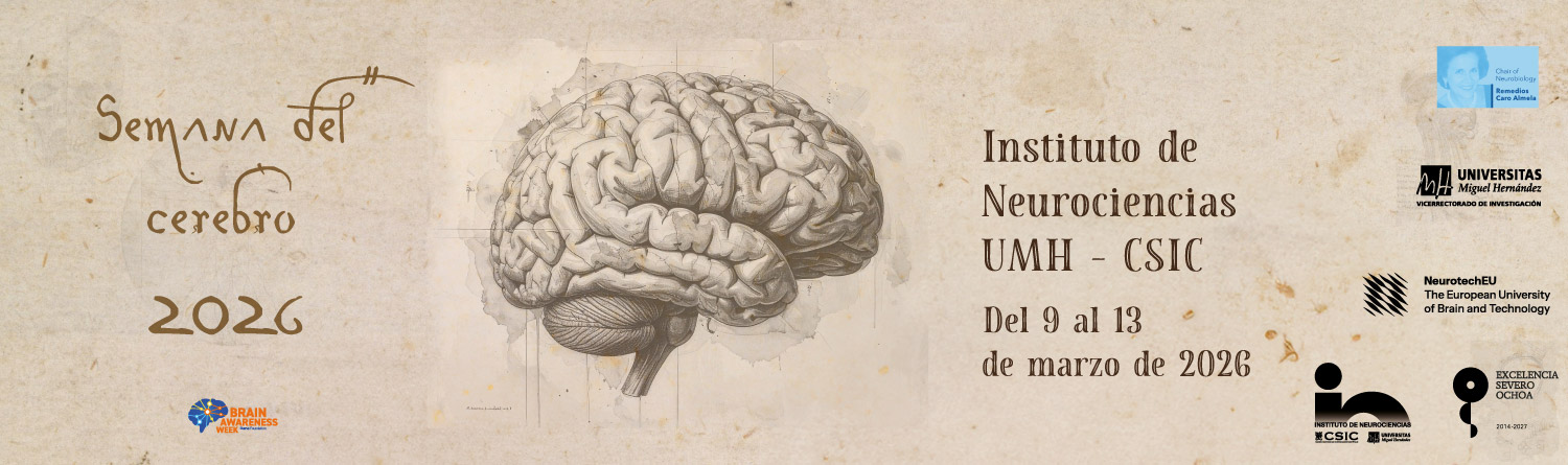 Banner-BAW-26 Banner Semana del Cerebro 2026