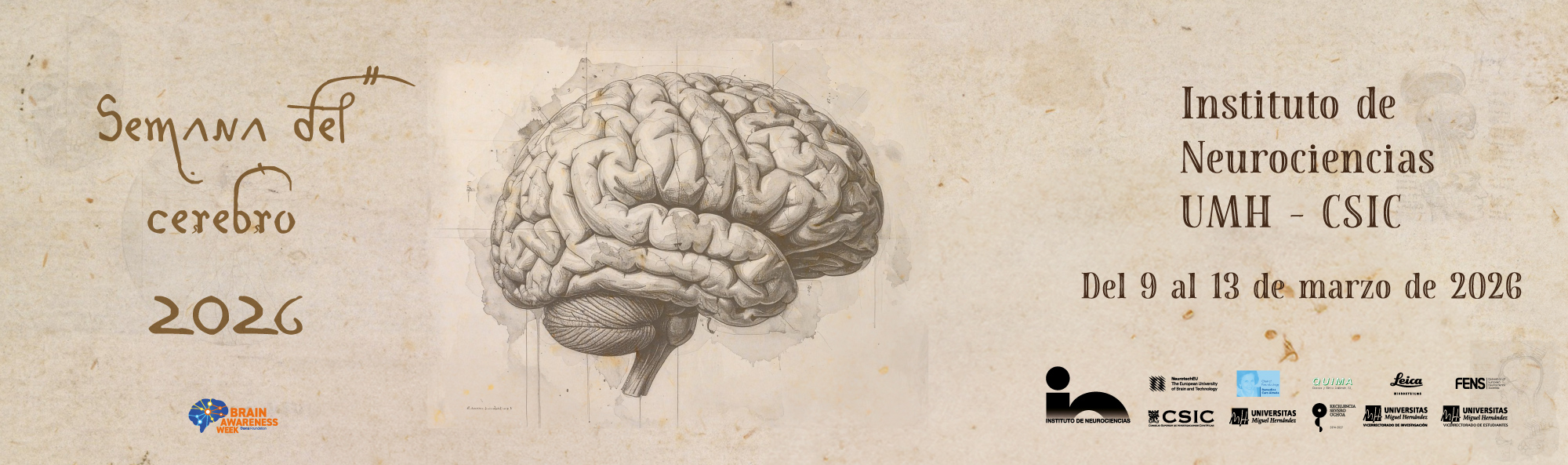 Banner-semana-del-cerebro
