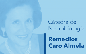 Logo Catedra Remedios Caro Almela 600px