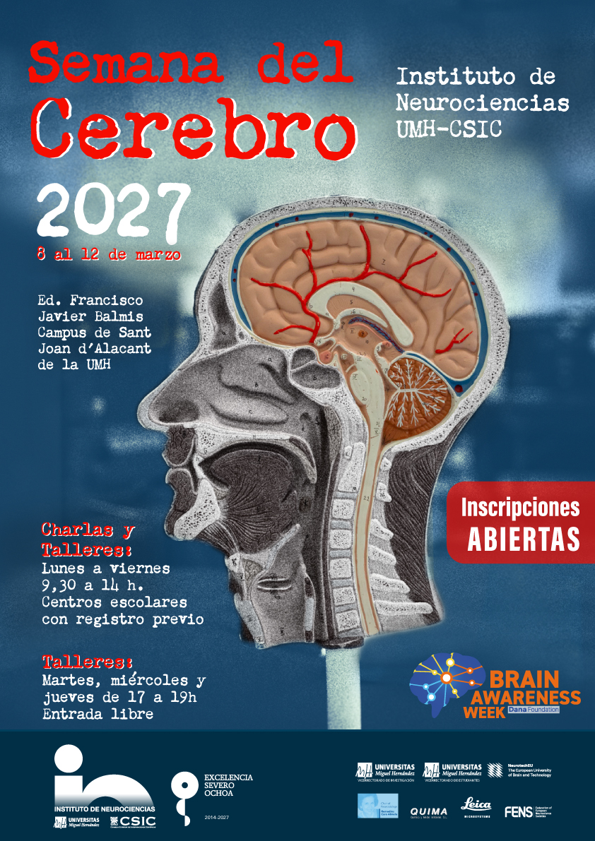 Cartel Semana del Cerebro 2027
