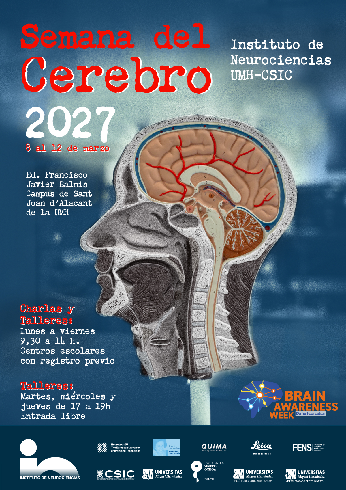 Cartel semana del cerebro 2027